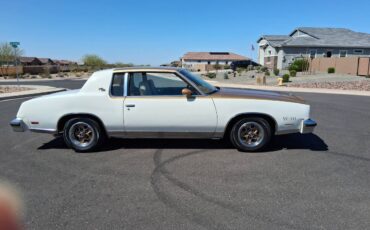 Camaromustangc10corvettechallengerchevelle-1979-4