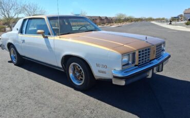 Camaromustangc10corvettechallengerchevelle-1979