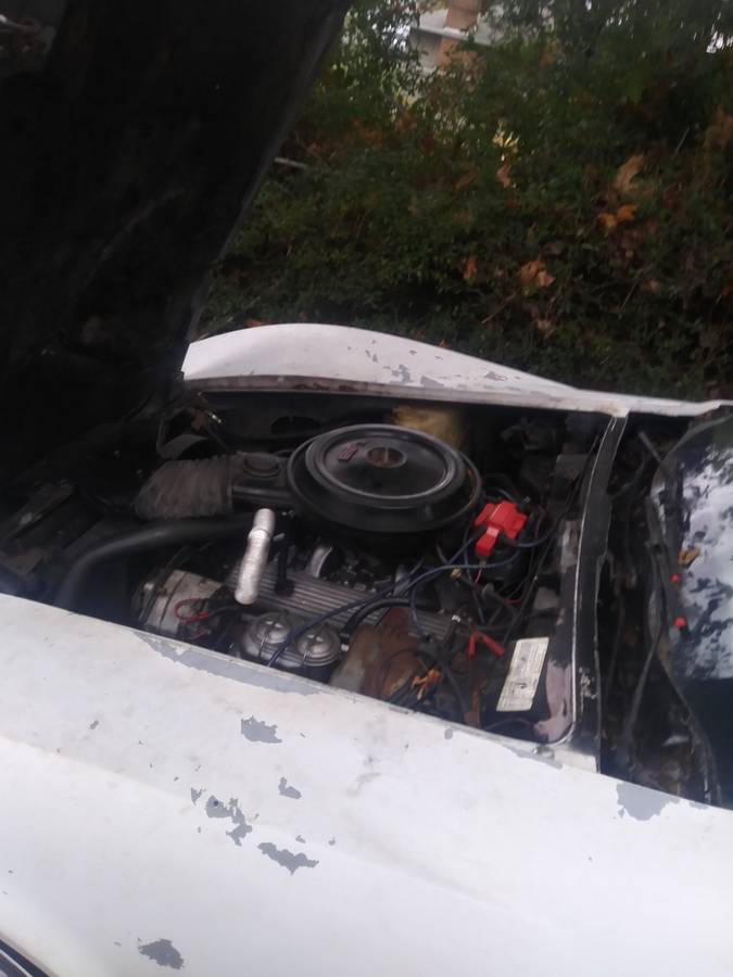 Cherolet-corvette-1977-white-3