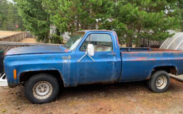 Chev-c-10-1976-blue-5