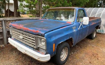 Chev-c-10-1976-blue-6