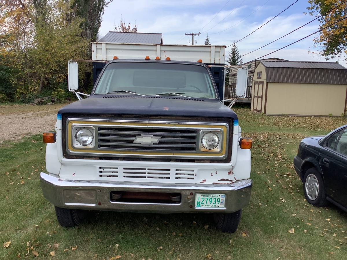 Chev-c60-1976-black-11