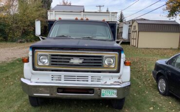 Chev-c60-1976-black-12