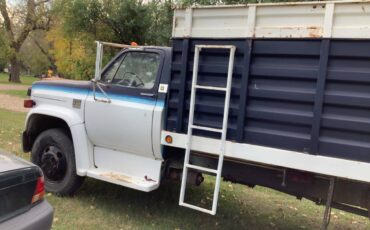 Chev-c60-1976-black-9