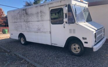 Cheverolet-p30-1991-2