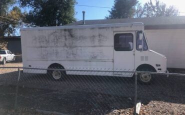 Cheverolet-p30-1991-3