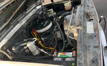 Chevrolet-12-Ton-Pickup-1983-14