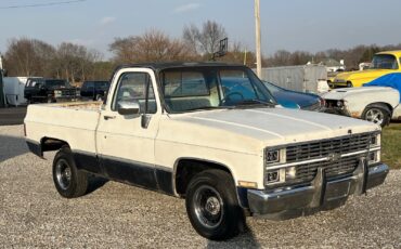 Chevrolet-12-Ton-Pickup-1983-2