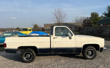 Chevrolet-12-Ton-Pickup-1983-3