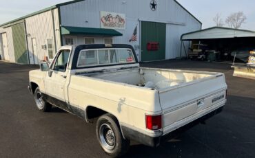 Chevrolet-12-Ton-Pickup-1983-5