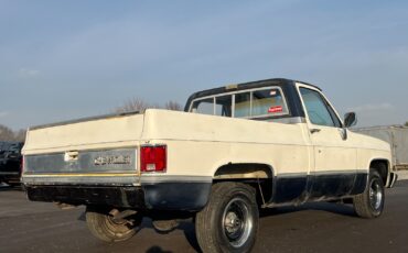Chevrolet-12-Ton-Pickup-1983-7