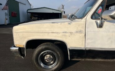 Chevrolet-12-Ton-Pickup-1983-8