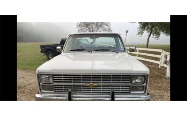 Chevrolet-12-ton-shortbox-1984-Redwhite-Redwhite
