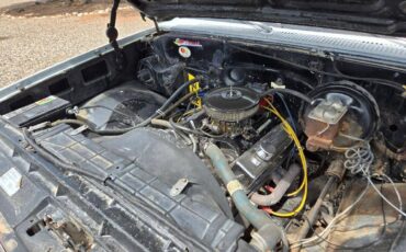 Chevrolet-1500-1981-white-1