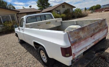 Chevrolet-1500-1981-white-3