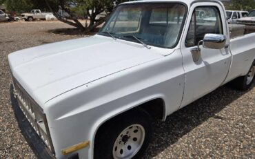 Chevrolet-1500-1981-white