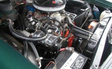 Chevrolet-1965-green-6