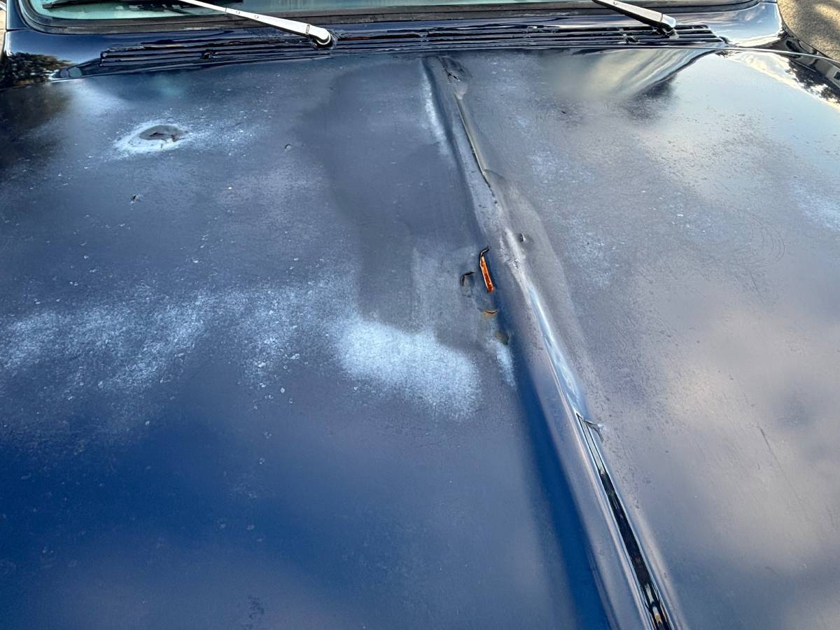 Chevrolet-1967-blue-19