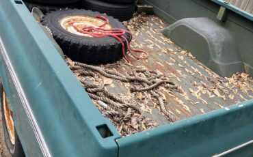 Chevrolet-1969-green-4