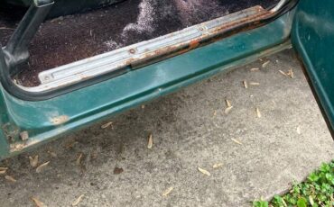 Chevrolet-1969-green-5