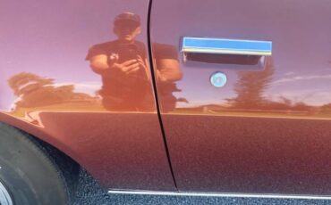 Chevrolet-1970-brown-10