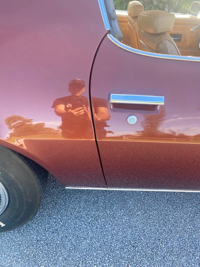 Chevrolet-1970-brown-10