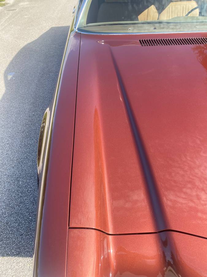 Chevrolet-1970-brown-12