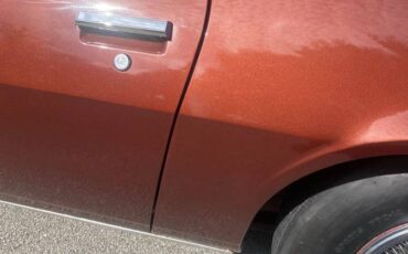 Chevrolet-1970-brown-2