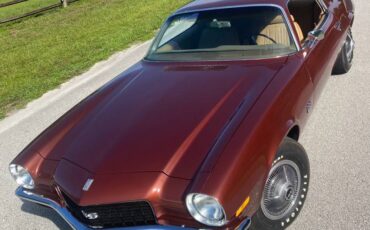 Chevrolet-1970-brown-3