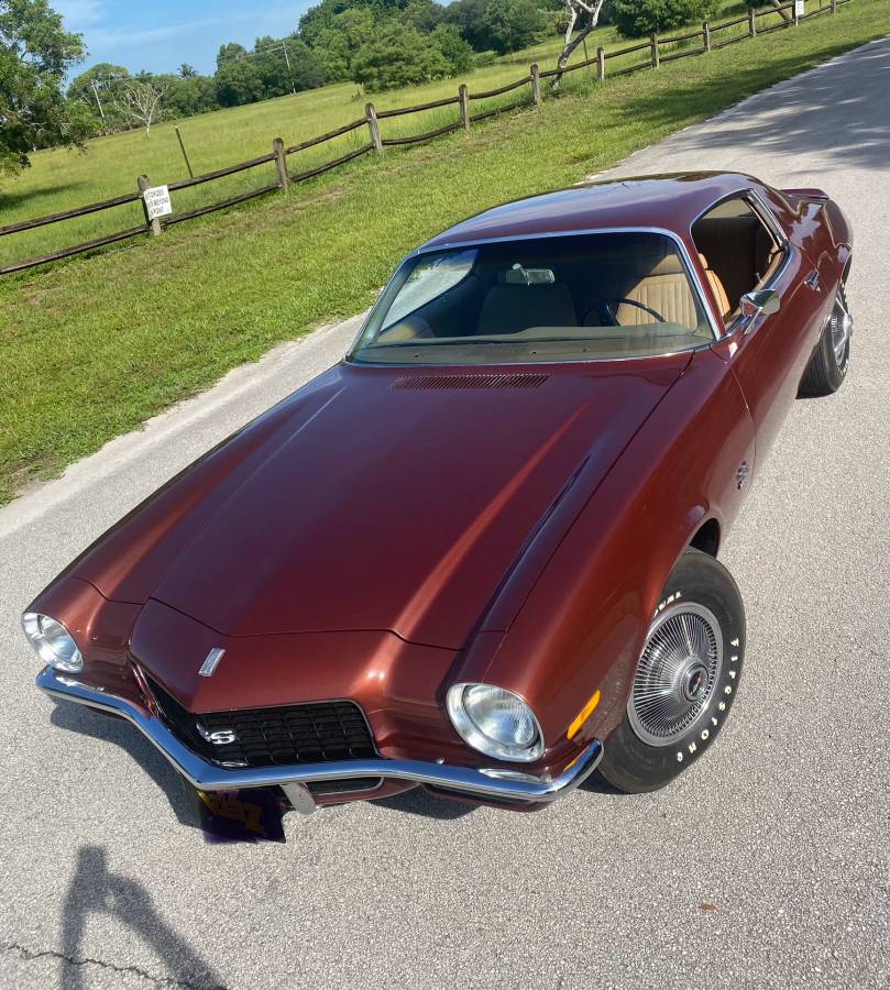 Chevrolet-1970-brown-3