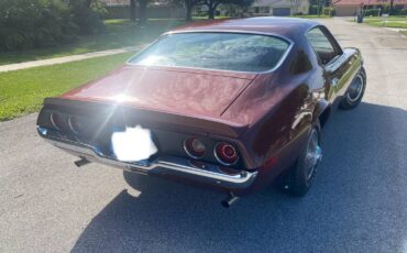 Chevrolet-1970-brown-4