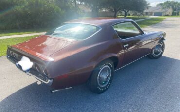 Chevrolet-1970-brown-5