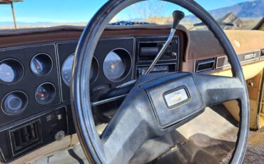 Chevrolet-1975-yellow-18