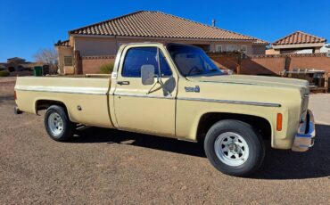 Chevrolet-1975-yellow-21
