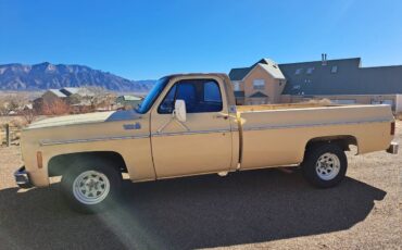 Chevrolet-1975-yellow-9
