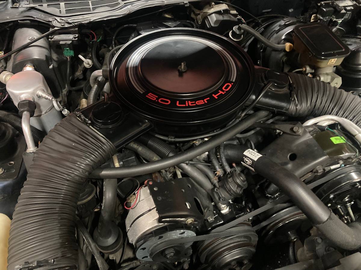 Chevrolet-1984-blue-2