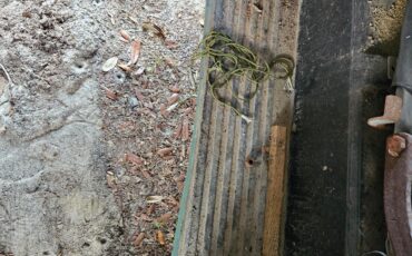 Chevrolet-3100-1957-17