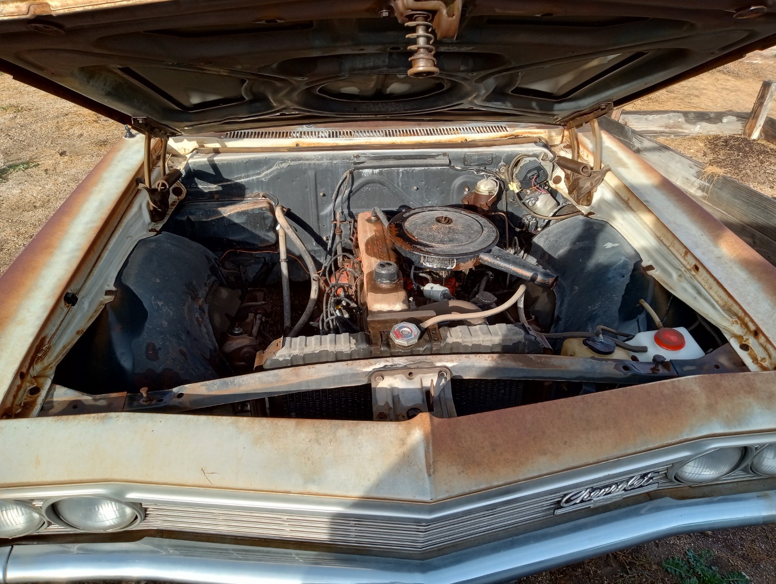 Chevrolet-Biscayne-1966-Sedan-2