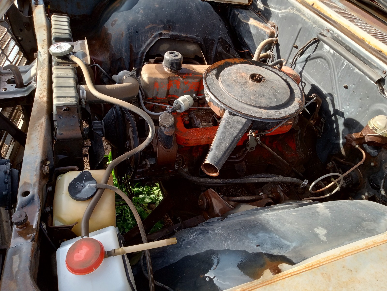 Chevrolet-Biscayne-1966-Sedan-5