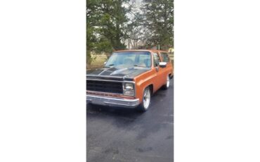 Chevrolet-Blazer-1980-Burnt-Orange-GreyBlack-15