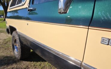 Chevrolet-Blazer-1988-15