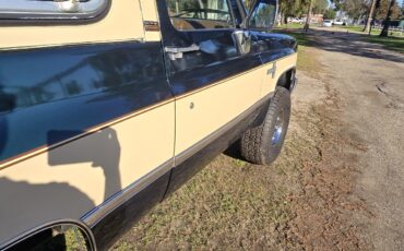 Chevrolet-Blazer-1988-18