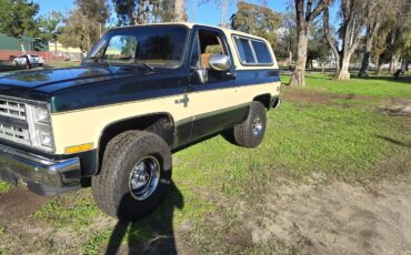 Chevrolet-Blazer-1988-2