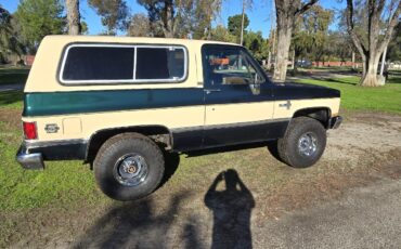 Chevrolet-Blazer-1988-21