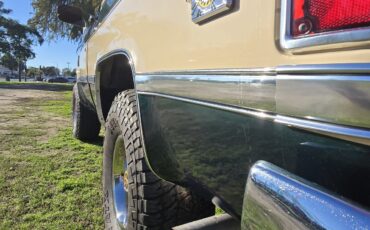 Chevrolet-Blazer-1988-35