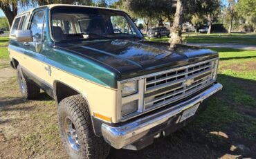 Chevrolet-Blazer-1988-7