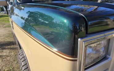 Chevrolet-Blazer-1988-9