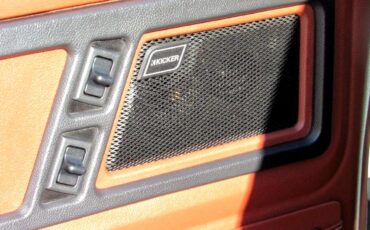 Chevrolet-C-10-1974-Classic-Car-33