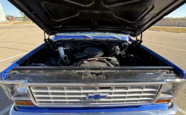 Chevrolet-C-10-1976-Standard-Cab-Pickup-10