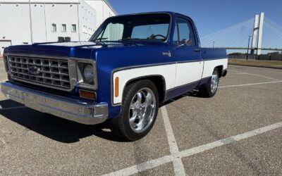 Chevrolet C-10 1976 Standard Cab Pickup